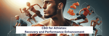 CBD for Athletes: Recovery and Performance Enhancement