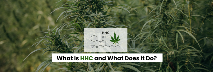 Unlocking HHC: Discover Its Effects, Benefits & Legality – MPC