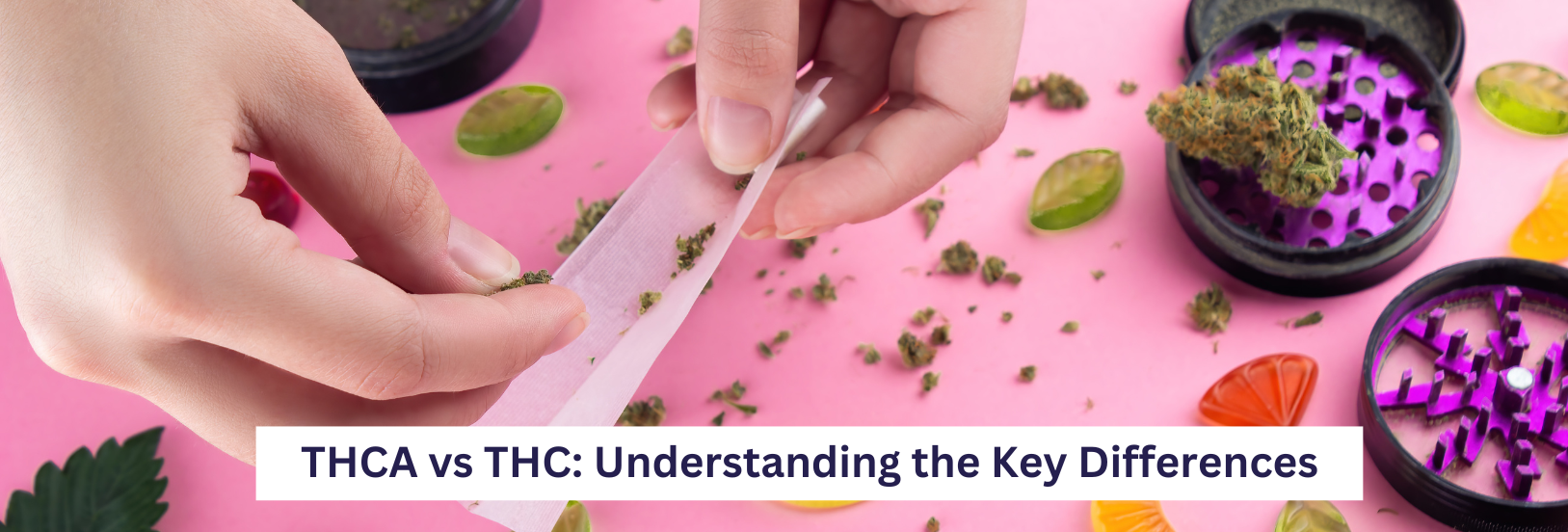 THCA Vs. THC: Understand The Key Differences – MPC