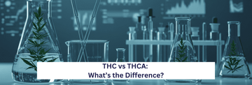 THC vs THCA:  What’s the Difference?