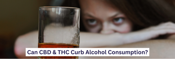 A person leaning on a glass of alcohol, asking the question: Is CBD an effective replacement for alcohol?