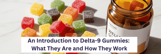 An Introduction to Delta-9 Gummies: What They Are and How They Work