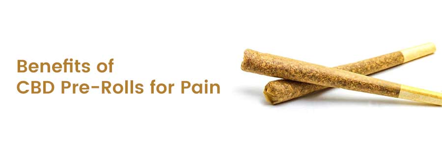 Benefits of CBD Pre-Rolls for Pain