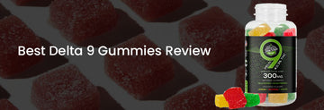 Best Delta 9 Gummies Review | A Complete Guide for Newbies