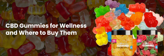 Best CBD Gummies and Where to Buy CBD Gummies