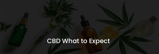 CBD: What to Expect