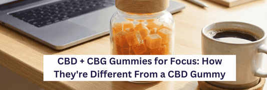 CBD + CBG Gummies for Focus: How They're Different From a Regular CBD Gummy