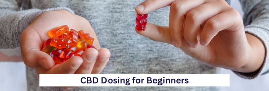 CBD Dosing for Beginners