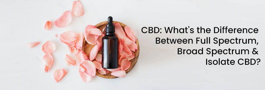 CBD: What's the Difference Between Full Spectrum, Broad Spectrum and Isolate CBD?