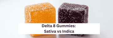 Delta 8 THC Gummies: Sativa vs Indica