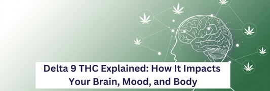 Delta 9 THC Explained: How It Impacts Your Brain, Mood, and Body