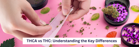 THCA vs THC Key Differences