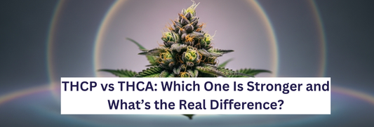 THCP vs THCA: Which One Is Stronger and What’s the Real Difference?