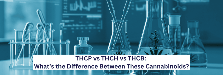 THCP vs THCH vs THCB: Potency, Effects & Safety Compared – MPC