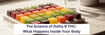 The Science of Delta-9 THC: What Happens Inside Your Body (and Why It Feels Different)
