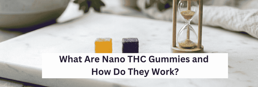 A close-up of two bright, jewel-toned gummies — one warm yellow, one deep violet — resting on a clean white marble surface beside a small hourglass with very little sand remaining, suggesting speed.