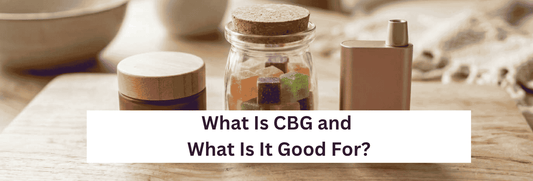 Three products (cream, gummies, vape) arranged together on a surface, representing that CBG runs through everything in the collection. 
