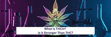 What Is THCH? Is it Stronger Than THC?
