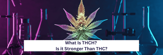 What Is THCH? Is it Stronger Than THC?