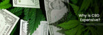 Why is CBD Expensive?