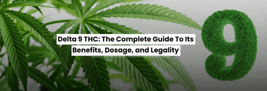 delta-9-thc-complete-guide-benefits-dosage-and-Legality