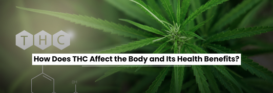 how-does-thc-affect-the-body-and-its-health-benefits