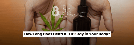 how-long-does-delta-8-thc-stay-in-your-body