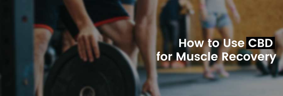 How to Use CBD for Muscle Recovery
