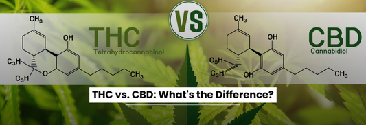 thc-vs-cbd-what-the-difference