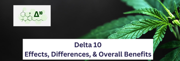 Visual representation of delta 10 effects, differences, and benefits.