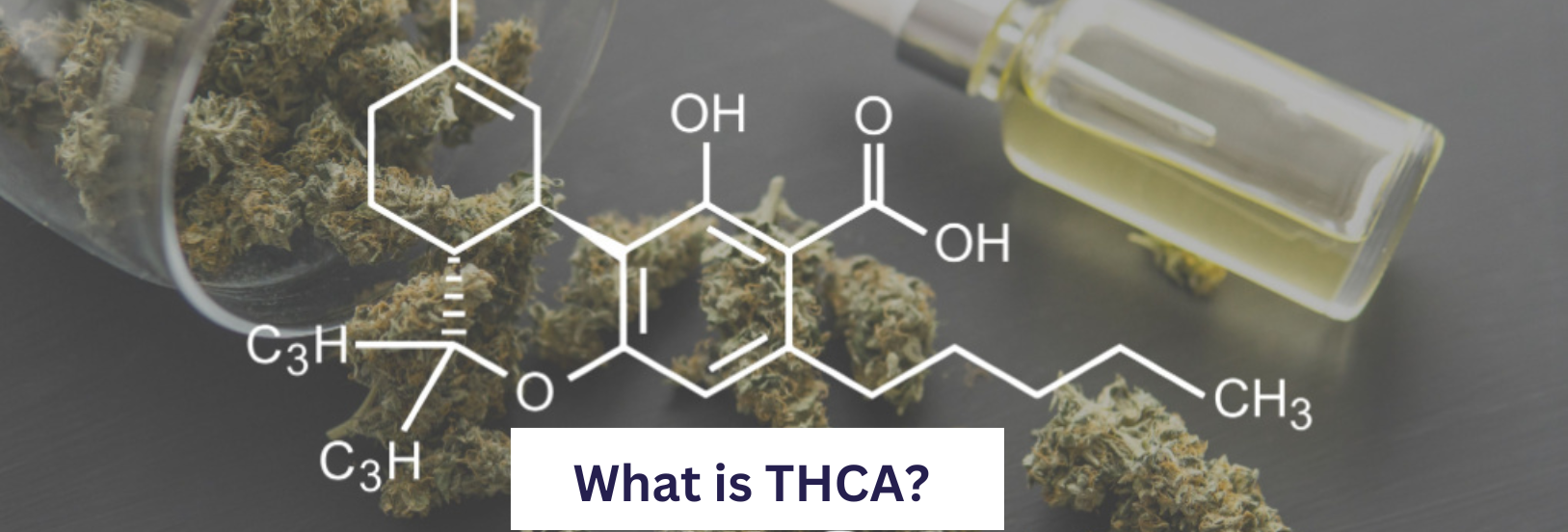 What Is Thca What Are Thca S Benefits And How Is It Different From T Mpc