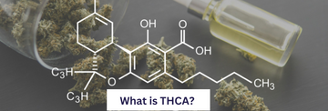 Visual representation asking 'What is THCA?'
