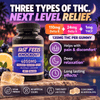 fast feels knockout gummies next level relief
