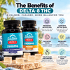 Delta 8 Infused THC Gummies 1500mg (50mg) | Sativa or Indica
