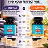 Delta 8 Infused THC Gummies 1500mg (50mg) | Sativa or Indica